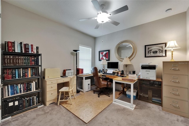 6507 Maiden Sea Dr, Apollo Beach, FL 33572 - office with carpet floors and ceiling fan