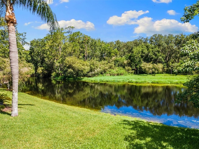 4690 Wrentham Pl, Palm Harbor, FL 34685 - water view featuring a heavily wooded area