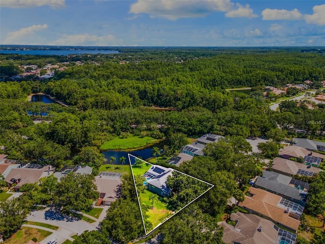 4690 Wrentham Pl, Palm Harbor, FL 34685 - aerial view of residential area with a large body of water and property parcel outlined