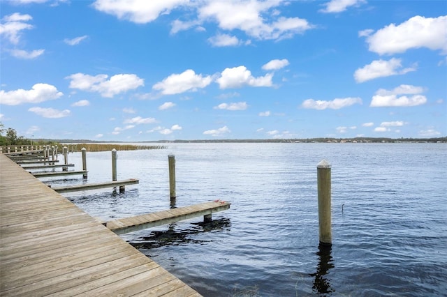 4690 Wrentham Pl, Palm Harbor, FL 34685 - dock area with a water view