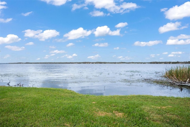 4690 Wrentham Pl, Palm Harbor, FL 34685 - water view