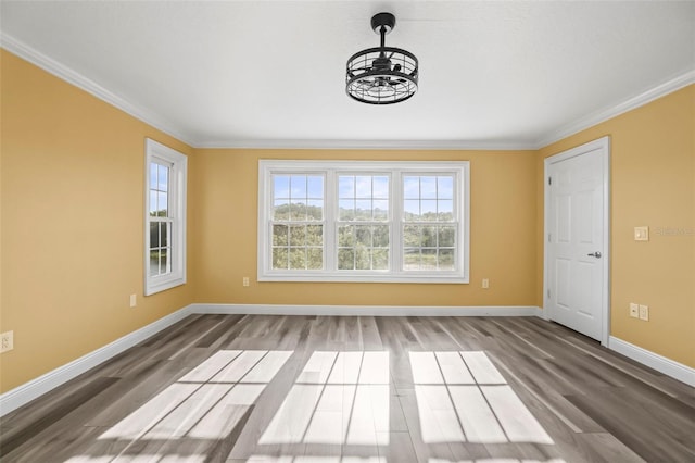 interior space with baseboards, plenty of natural light, and wood finished floors