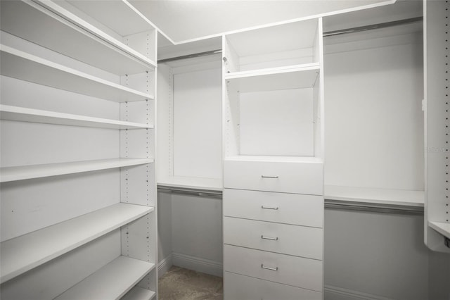 view of spacious closet