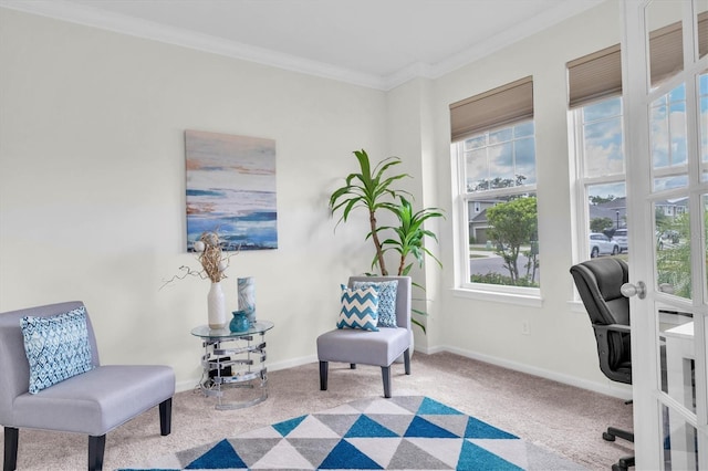 11626 Blue Woods Dr, Riverview, FL 33569 - carpeted office with baseboards and crown molding