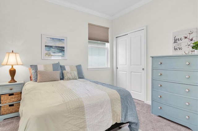 11626 Blue Woods Dr, Riverview, FL 33569 - bedroom with light colored carpet, a closet, and ornamental molding