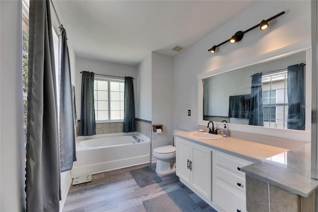 10636 Dawns Light Dr, Riverview, FL 33578 - full bathroom featuring healthy amount of natural light, wood finished floors, a garden tub, and vanity