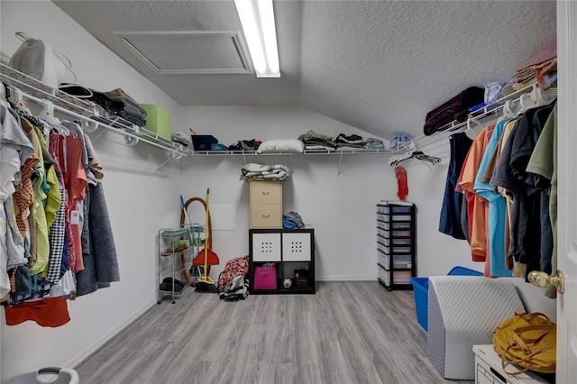 10636 Dawns Light Dr, Riverview, FL 33578 - walk in closet with wood finished floors, attic access, and lofted ceiling