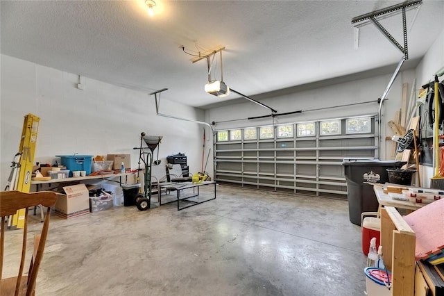 10636 Dawns Light Dr, Riverview, FL 33578 - garage with a garage door opener