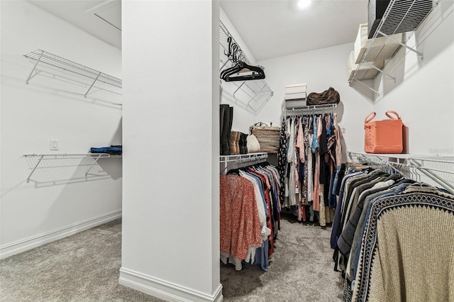 spacious closet with carpet