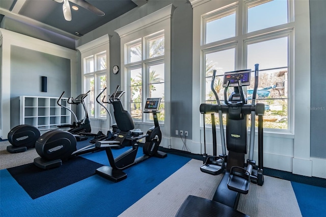 exercise room featuring plenty of natural light, ceiling fan, and carpet flooring