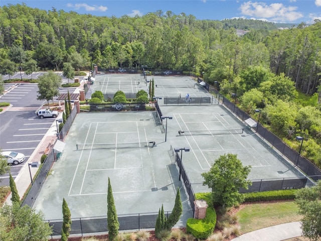 29895 Picana Ln, Wesley Chapel, FL 33543 - view of tennis court featuring a view of trees