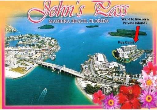 1 Key Capri Unit 502E, Treasure Island, FL 33706 - photo 40