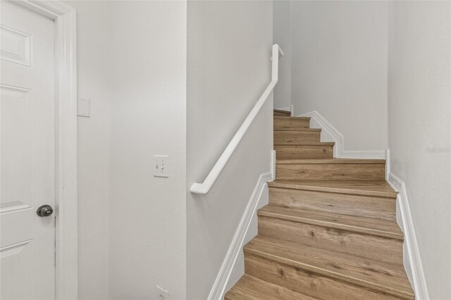 8848 Moonlit Meadows Loop, Riverview, FL 33578 - staircase with wood finished floors