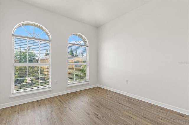 8848 Moonlit Meadows Loop, Riverview, FL 33578 - unfurnished room with wood finished floors and baseboards