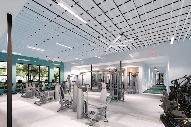 gym with carpet