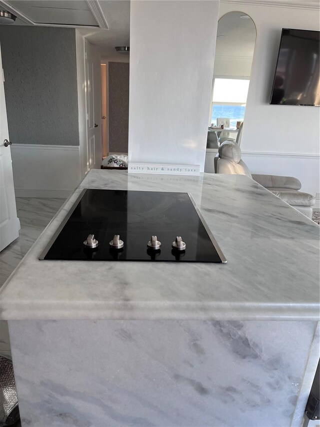 interior details featuring ventilation hood and black electric stovetop