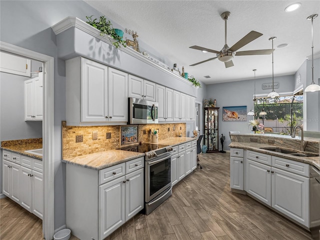 2908 89th Ave E, Parrish, FL 34219 - kitchen with stainless steel appliances, a sink, ceiling fan, white cabinets, and wood finished floors