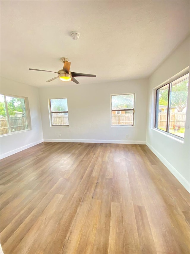 2400 13th Ave S, Saint Petersburg, FL 33712 - photo 32