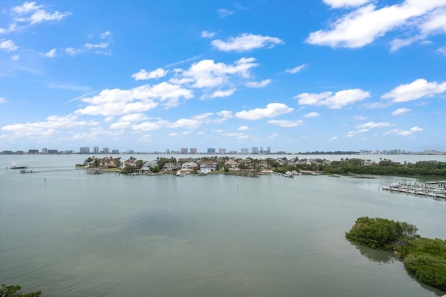 4 Belleview Blvd Unit 802, Belleair, FL 33756 - property view of water featuring a city view