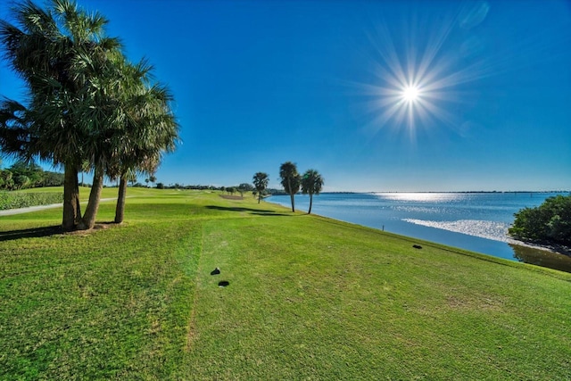 4 Belleview Blvd Unit 802, Belleair, FL 33756 - exterior space