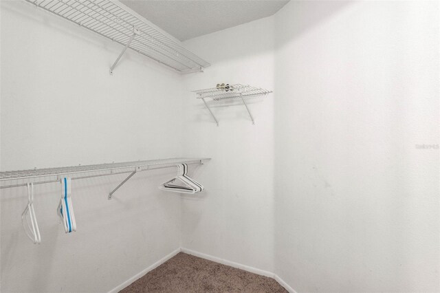 walk in closet featuring carpet