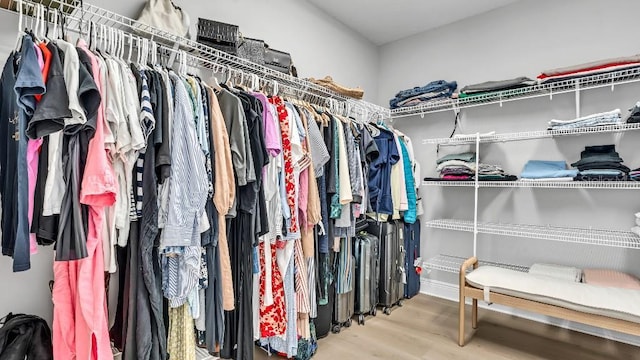 spacious closet featuring wood finished floors