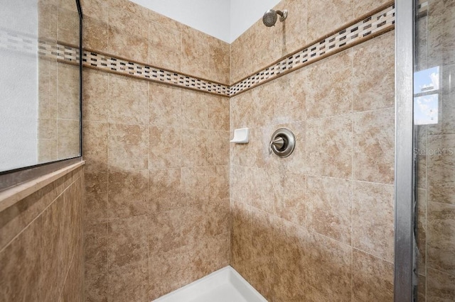 18677 Milton Keynes Ct, Land O Lakes, FL 34638 - bathroom with tiled shower