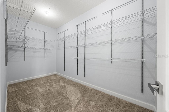 18677 Milton Keynes Ct, Land O Lakes, FL 34638 - spacious closet featuring carpet floors