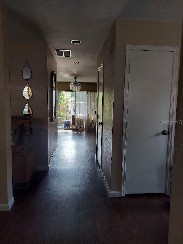 13020 Lorna Pl, Tampa, FL 33618 - photo 5
