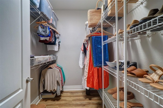 walk in closet featuring wood finished floors