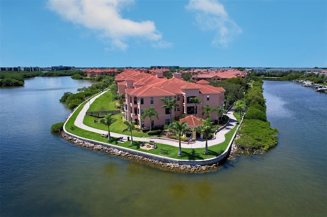 aerial view with a water view