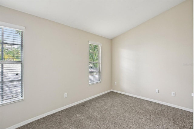 8101 Interbay Blvd Unit A, Tampa, FL 33616 - unfurnished room with baseboards, carpet, and vaulted ceiling