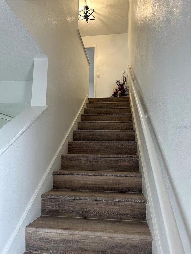 4022 Cortez Dr Unit A, Tampa, FL 33614 - staircase featuring wood finished floors
