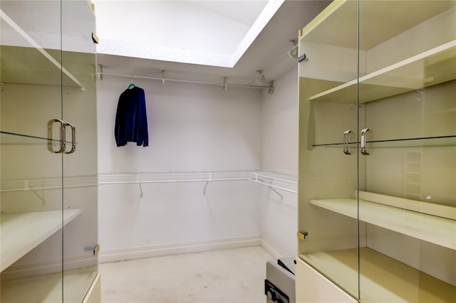 919 Sandpiper Way S, Saint Petersburg, FL 33707 - view of spacious closet