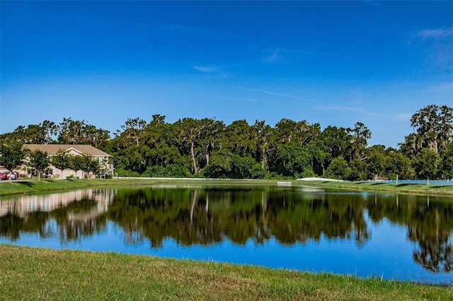 10436 Rivercrest Dr, Riverview, FL 33578 - photo 25