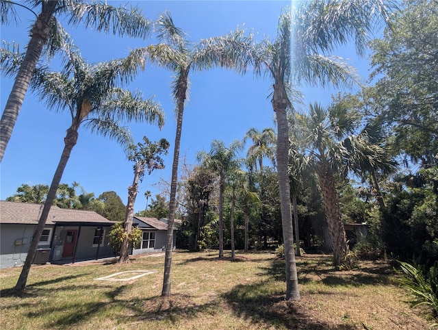 view of green lawn