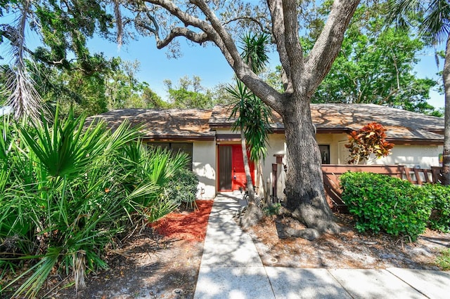 2953 Yucca Ct, Palm Harbor, FL 34684 - view of front of home with stucco siding