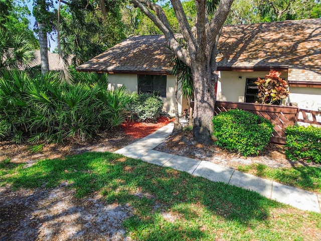 2953 Yucca Ct, Palm Harbor, FL 34684 - view of front facade featuring stucco siding and a shingled roof