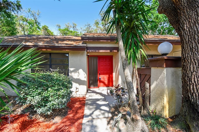 2953 Yucca Ct, Palm Harbor, FL 34684 - property entrance with stucco siding