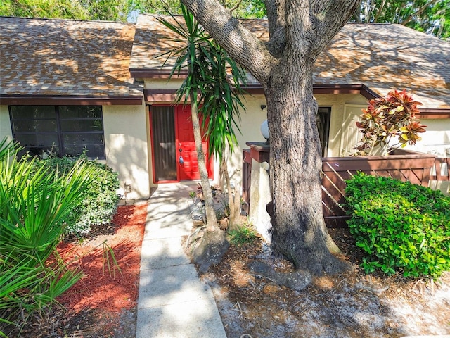 2953 Yucca Ct, Palm Harbor, FL 34684 - doorway to property featuring stucco siding and roof with shingles