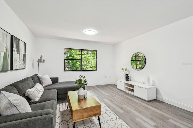 2953 Yucca Ct, Palm Harbor, FL 34684 - living area featuring light wood-style floors and baseboards