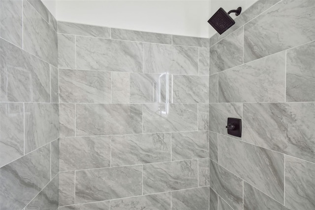 2953 Yucca Ct, Palm Harbor, FL 34684 - bathroom view of tiled shower