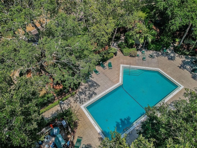 2953 Yucca Ct, Palm Harbor, FL 34684 - community pool featuring a patio area