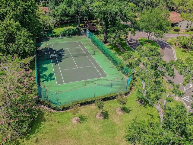 2953 Yucca Ct, Palm Harbor, FL 34684 - bird's eye view
