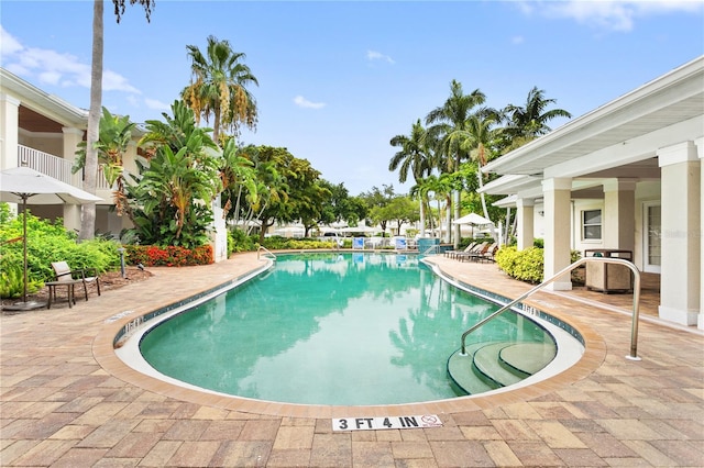 3506 54th Dr W Unit 108, Bradenton, FL 34210 - pool featuring a patio area