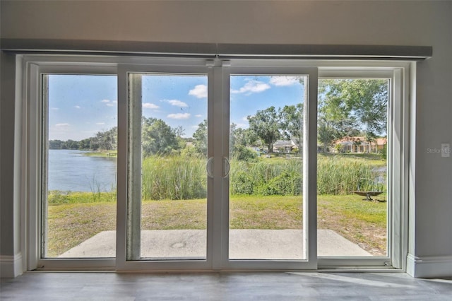 3238 Cullendale Dr, Tampa, FL 33618 - entryway featuring a water view