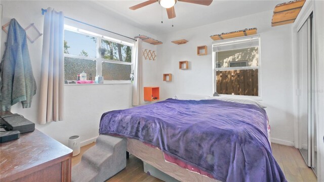6325 9th Ave S, Gulfport, FL 33707 - bedroom featuring wood finished floors and ceiling fan