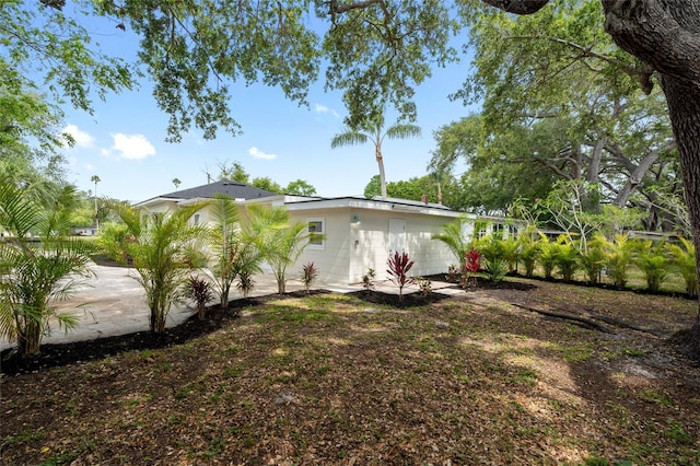 1443 Paloma Ln, Dunedin, FL 34698 - view of yard