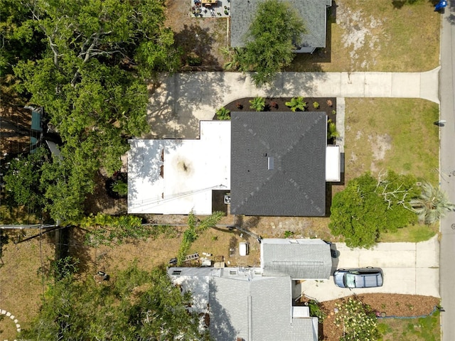 1443 Paloma Ln, Dunedin, FL 34698 - aerial view