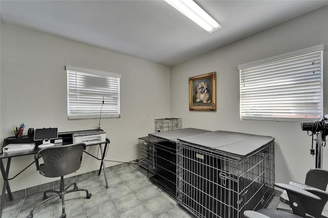 126 Ridgewood Ave, Brandon, FL 33510 - office featuring a wealth of natural light